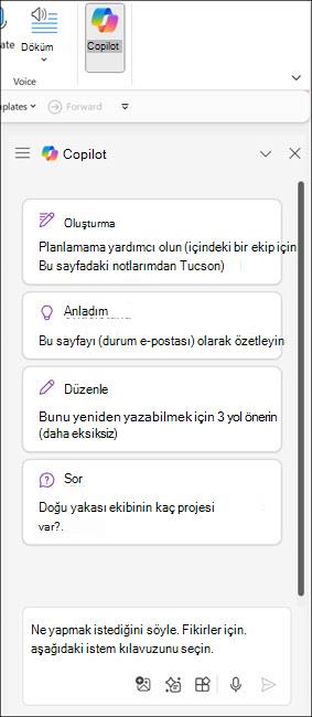 OneNote'ta Copilot bölmesinin ekran görüntüsü