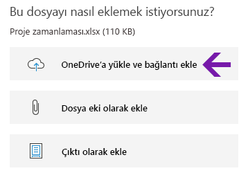 Windows 10 için OneNote'ta dosya ekleme seçenekleri