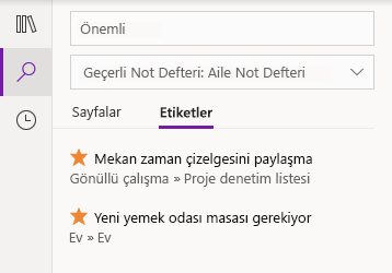Windows 10 için OneNote'ta etiket arama sonuçları