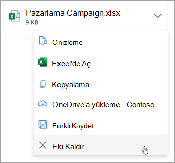 Ekin yanındaki aşağı oku seçin ve sonra Eki Kaldır'ı seçin