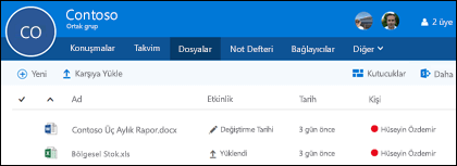 Grubunuzda depolanan dosya ve klasörlerin listesini görmek için Office 365 grubunuzdaki Files tıklatın