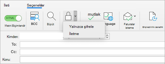 E-posta iletisinde Şifrele düğmesini gösterir