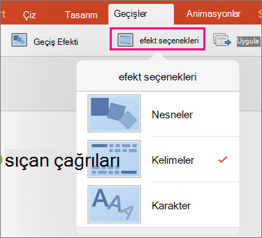 iPad'de Nesneler, Sözcükler ve Karakterler seçeneklerinin bulunduğu Efekt Seçenekleri menüsü