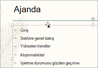 Animasyon eklemek istediğiniz madde işaretli metin kutusunu seçin