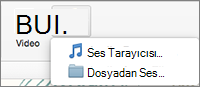 Dosyadan ses ve ses tarayıcı seçenekleri ile Ses ekle menüsü
