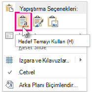 Yapıştırma Seçenekleri: Hedef Temayı Kullan