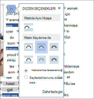Düzen Seçenekleri kutusu