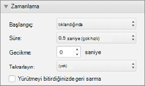Ekran görüntüsü, Başlangıç, Süre, Gecikme ve Yineleme seçeneklerinin ve Yürütme bitince geri sar seçeneği için bir onay kutusunun bulunduğu Animasyonlar bölmesinin Zamanlama bölümünü gösterir.