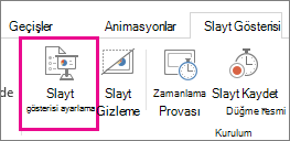 Slayt Gösterisi Ayarla düğmesi