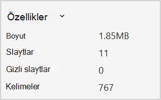 PowerPoint'te sözcük sayısı özelliğinin ekran görüntüsü