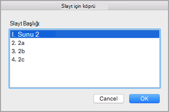 Hedef slaydı seçme
