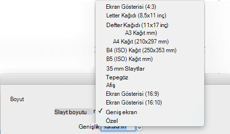 Sayfa Yapısı iletişim kutusunda önceden tanımlanmış bazı slayt boyutu seçenekleri vardır