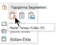 Yapıştırma Seçenekleri'nin altında ilk seçenek olan Hedef Temayı Kullan'ı seçin