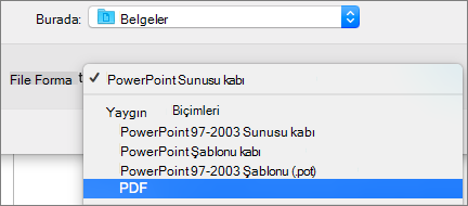 Mac için PowerPoint 2016'daki Farklı Kaydet iletişim kutusunda Dosya Biçimleri listesinde PDF seçeneğini gösterir.