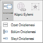Önizleme Ekle'ye > gittiğinizde seçebileceğiniz farklı Önizleme türlerini gösterir: Özet Önizlemesi, Slayt Önzilemesi veya Bölüm Önizlemesi.