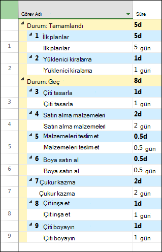 Gruplandırmadan önce resmi