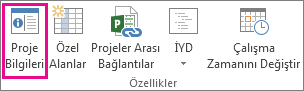 Proje sekmesindeki Proje Bilgileri