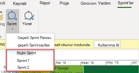 Sprint görünümleri