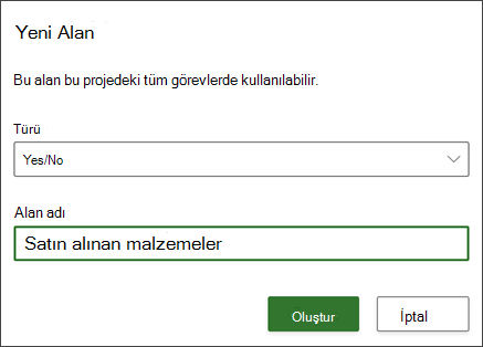 Alan adını doldurulmuş olarak gösteren Yeni alan iletişim kutusundaki Proje bölümünden ekran görüntüsü