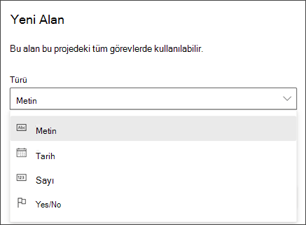 Tür Metin, Tarih, Sayı, Evet/Hayır alanlarını gösteren Yeni alan iletişim kutusunun Project'ten ekran görüntüsü