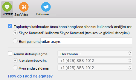 Nasıl INasıl yaparım? temsilciler eklenir mi? Tercihler iletişim kutusunun Aramalar sayfasındaki yardım bağlantısı