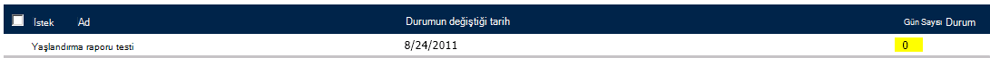 Durumdaki Gün Sayısı sütunu sayı görüntüler