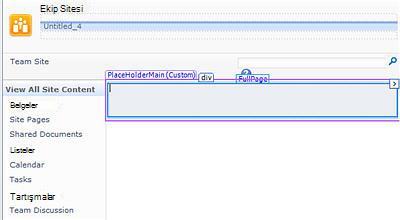 SharePoint Designer 2010'a sayfa ekleme
