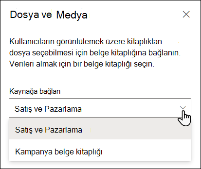 Kaynağa bağlan açılan listesiyle dosya görüntüleyicisi özellik bölmesi