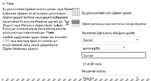 Ayarları Düzenle altında, görünümünüz için istediğiniz Filtreleri tanımlayın.