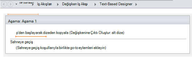 Değişken 1