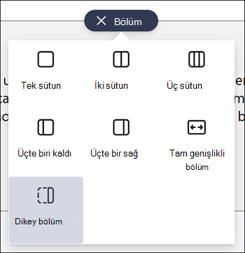 Bölüm türleri listesinde vurgulanmış dikey bölüm