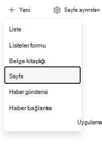 Sayfa girdi noktası oluşturma