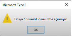 Office'te Korumalı görünüm dosyası hatası
