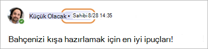 Teams'de topluluk sahibi rozetlerini gösteren ekran görüntüsü (Ücretsiz).