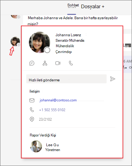 Bilgi bul