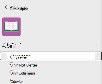 giriş sayfası