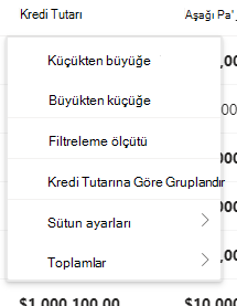 Kredi Tutarı sütunu açılan listesi