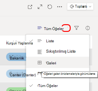 Galeri görünümlü menü