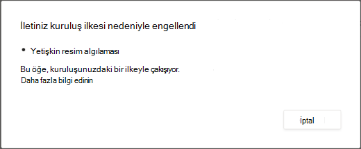 Bir iletişim iletisi, yetişkinlere yönelik içerik barındırdığı için bir iletinin neden silindiğini açıklar.