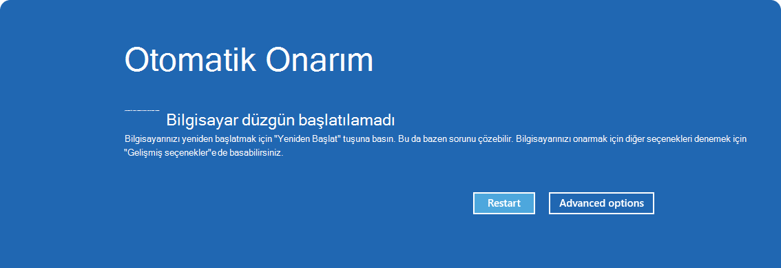 Otomatik onarım seçeneğinin ekran görüntüsü.