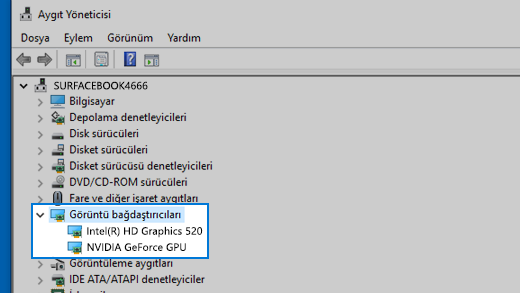 Cihaz Yöneticisi ve Görüntü bağdaştırıcıları