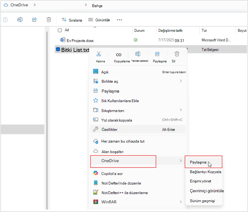 OneDrive Dosya Paylaşımı'nın ekran görüntüsü