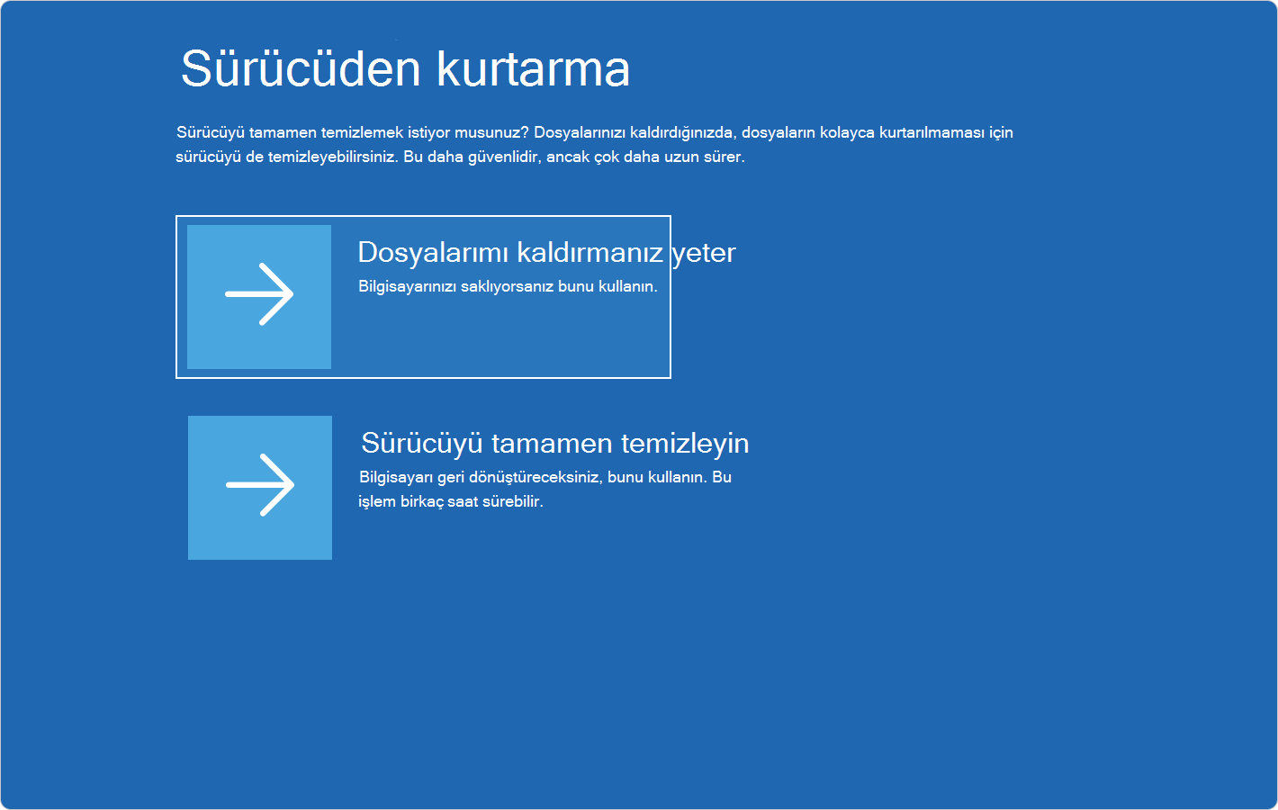Bir sürücüden kurtarma seçeneklerini gösteren Windows RE ekran görüntüsü