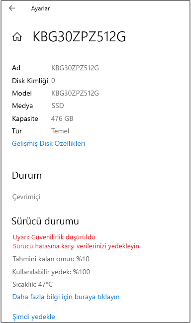 Disk sayfası örneği