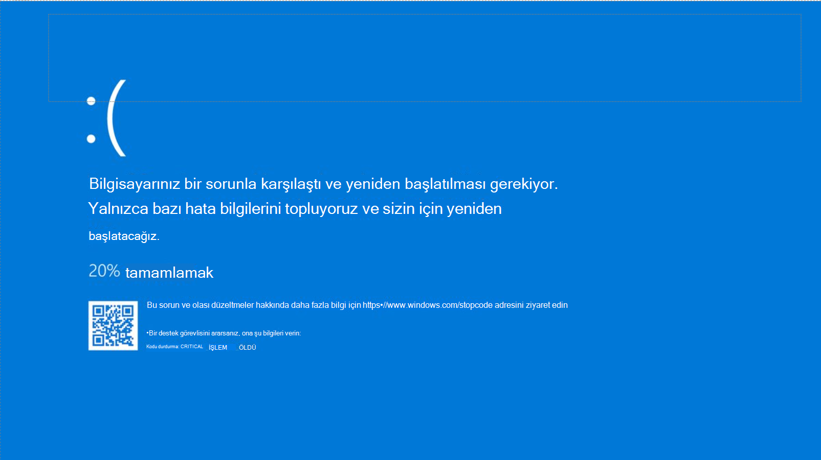Windows 10'de Dur kodu hatasının ekran görüntüsü