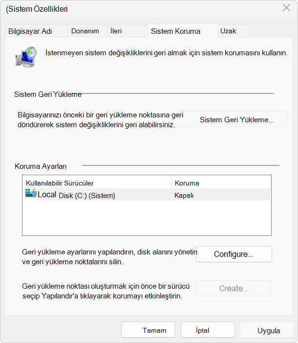 Sistem Koruma ayarlarının ekran görüntüsü.