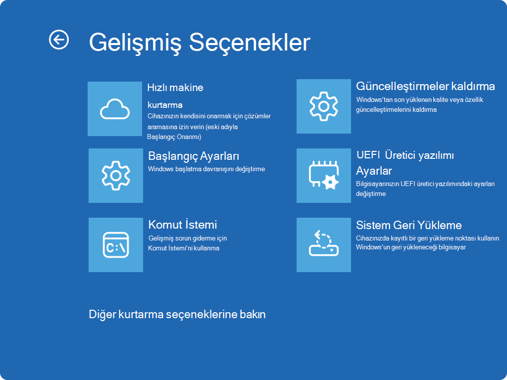 Gelişmiş seçenekleri ve yeni QMR girişini gösteren Windows RE ekran görüntüsü.
