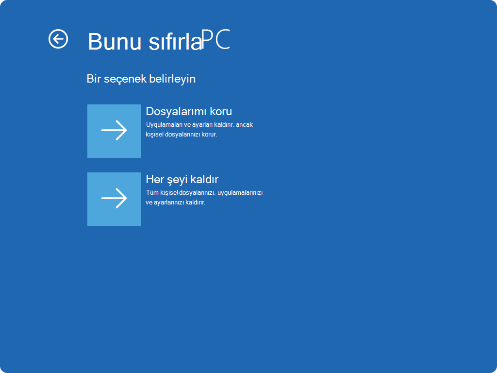 WinRE'de sıfırlama ekranının ekran görüntüsü.