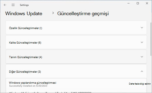 Güncelleştirme Geçmişi sayfasını gösterir, Diğer GüncelleştirmelerGüncelleştirmeler bölümü genişletilir.