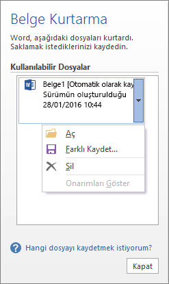 Belge Kurtarma bölmesi